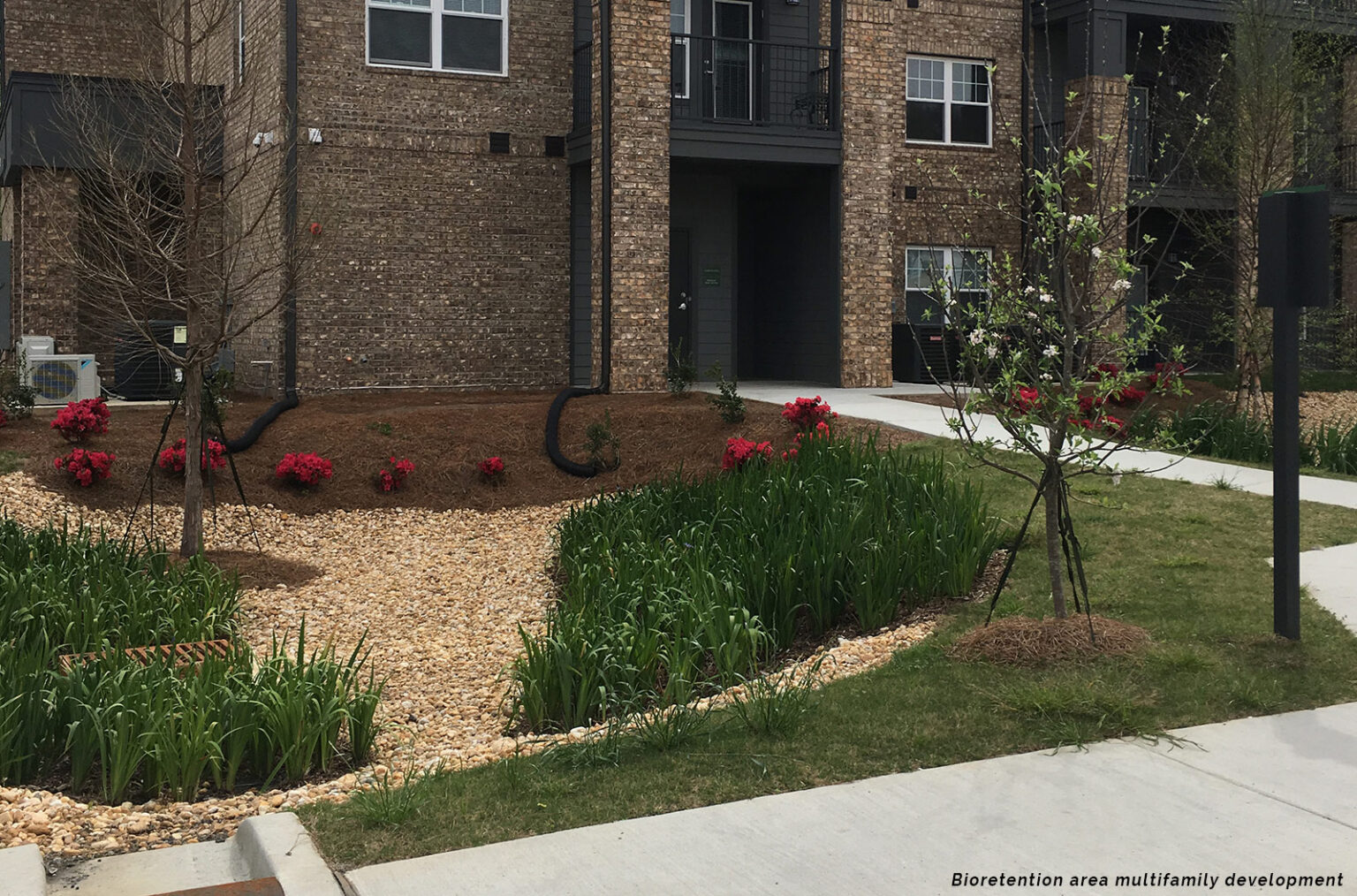 Designing Thriving Multi-Family Communities